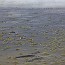 thumbs/E5D_3181.jpg